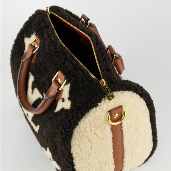 Louis Vuitton Shearling Teddy Speedy 25 - Picture 11 of 13